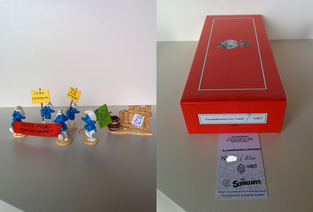 6407 - La manifestation Schtroumpf