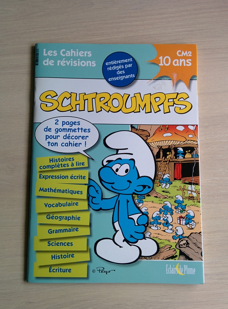 Cahier de vacances CM2