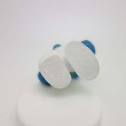 Schtroumpf jardinier (grand) - photo