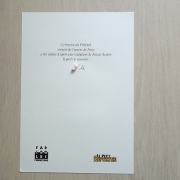 Pirlouit en bronze - photo