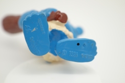 Schtroumpf préhistorique - photo