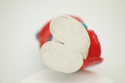 Schtroumpf frileux - photo