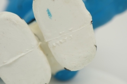 Schtroumpf prisonnier - photo