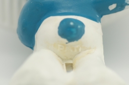 Schtroumpf jovial - photo