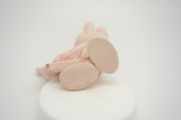 Schtroumpf avec harpe - photo