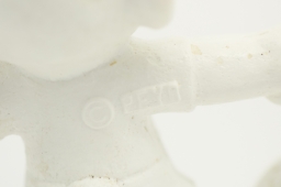 Schtroumpf footballeur - photo