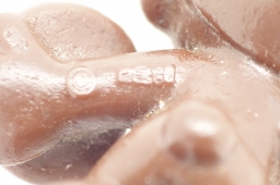 Schtroumpf avec biscuit - photo