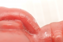 Schtroumpf jovial - photo