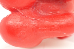 Schtroumpf prieur - photo