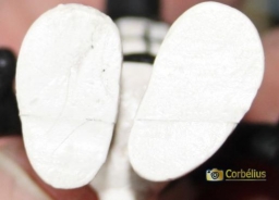 Schtroumpf noir (petit) - photo