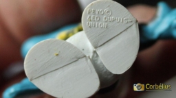 Schtroumpf avocat - photo