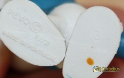 Schtroumpf poète - photo