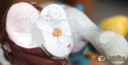 Schtroumpf facteur - photo