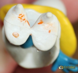 Schtroumpfette (version 1) - photo