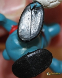 Schtroumpf footballeur - photo