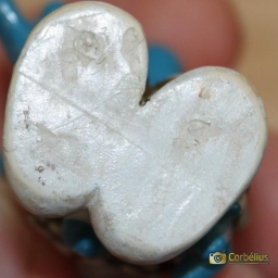 Schtroumpf vainqueur - photo