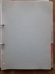 Dossier des figurines Bully - photo