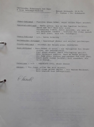 Dossier des figurines Bully - photo