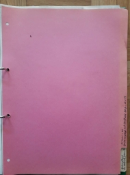 Dossier des figurines Bully - photo