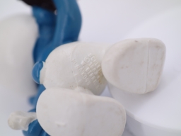 Schtroumpf serveur - photo