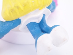 Schtroumpfette avec thé - photo