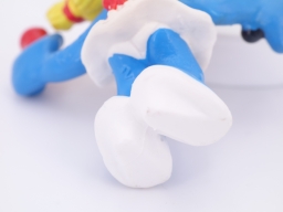 Schtroumpfette qui cuisine - photo