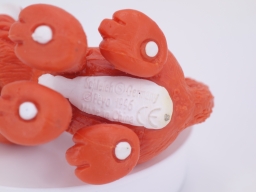 Azrael apeuré - photo