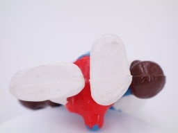 Schtroumpf boxeur - photo