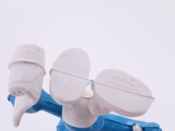 Schtroumpf poète - photo