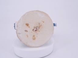 Schtroumpf chef de chantier - photo