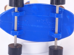 Puppy skateboard - photo