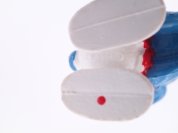 Schtroumpf avec flûte - photo