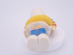 Schtroumpfette supportrice - photo