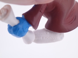 Schtroumpf diplômé - photo