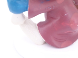 Schtroumpf diplômé - photo