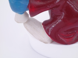 Schtroumpf diplômé - photo