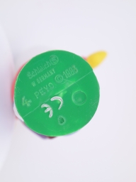 Schtroumpfette écolière - photo