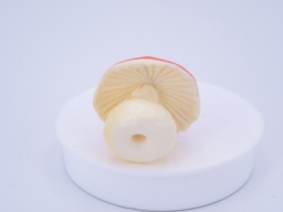 Chambre de la Schtroumpfette - Lampe - photo