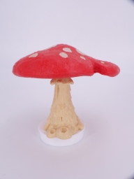 Champignon - photo