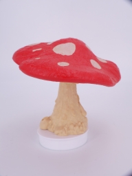 Champignon - photo