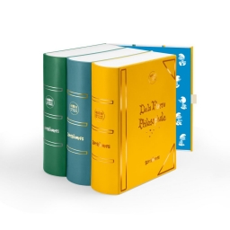 Coffret pour pièces en argent 10€ - photo