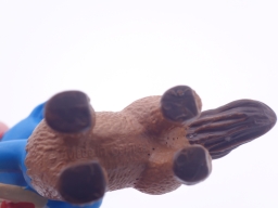 Schtroumpf - Sagittaire - photo