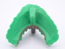 Maison - Fênetre du toit - photo