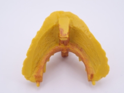 Maison - Fênetre du toit - photo