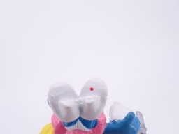 Schtroumpfette secrétaire - photo