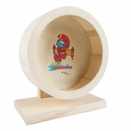 Roue d\'activité - Jet-pack - photo