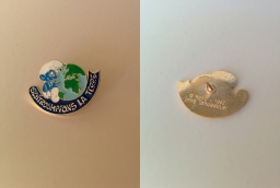 Pin's "Schtroumpfons la Terre"