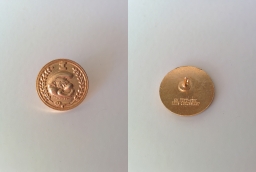 Pin's Schtroumpf Financier - Tête de Grand Schtroumpf avec laurier