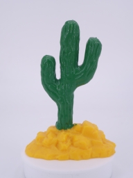 Western - Cactus